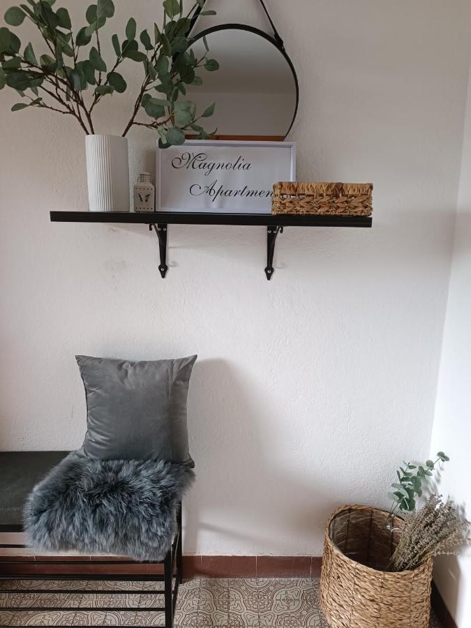 Magnolia Apartment - Free Private Parking Ljubljana Dış mekan fotoğraf